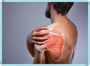 쇄골-통증-확인