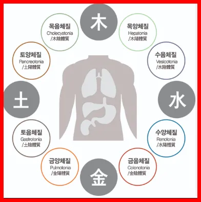 8체질 자가진단1