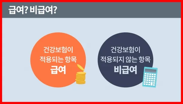 급여 비급여