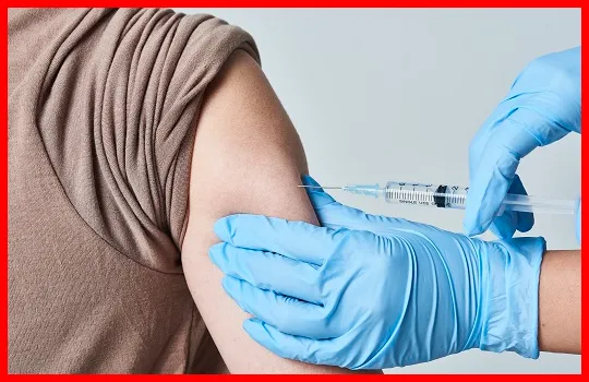 독감 예방접종 비용